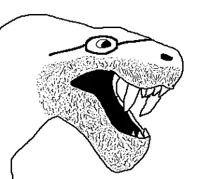 images.png