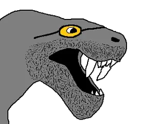 5.png