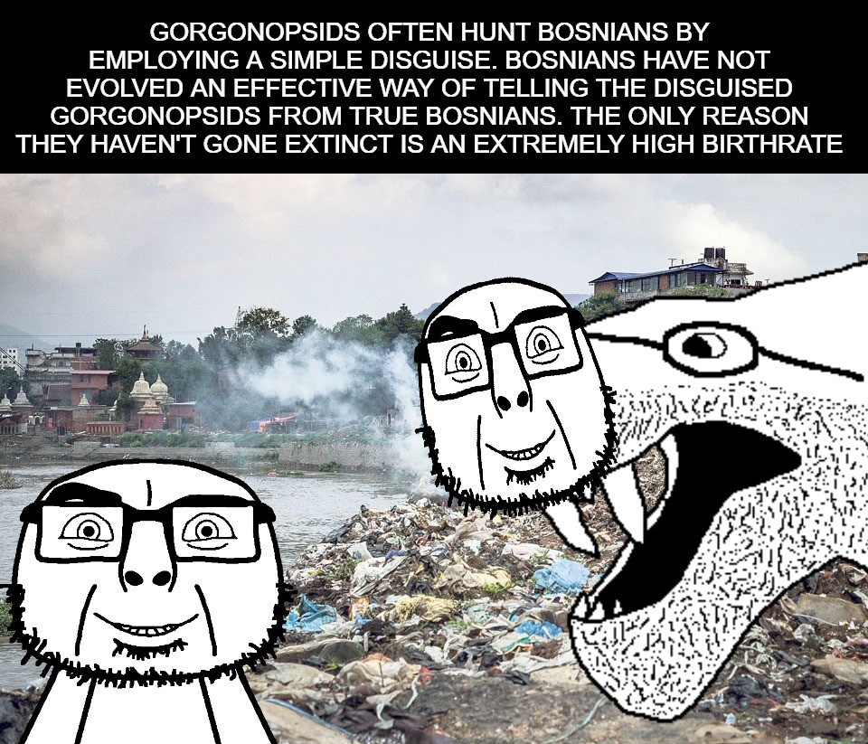 cobson, gorgonopson, olgolstein, olgolstein front, proud olgolian, irl pics of bosnia, proud olgolians, 3soyjaks, bald, bosnia