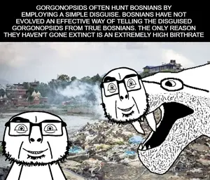 aw3ckd.jpg