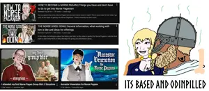 basedandodin.png