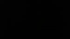 froglaughcontact.mp4