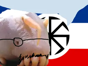 76776.png
