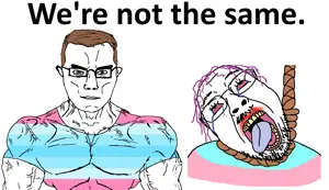 1AA2221111111112A23-pigg.png