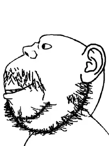 Untitled1477_20260708040609.png
