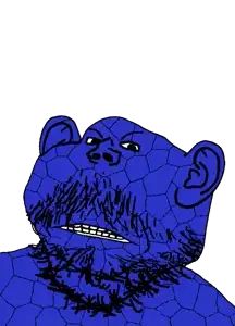 Titelloses 102_20260708172129.png