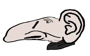 Yes Chinlet Sloppiest 5.png
