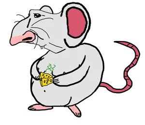 rotund.png