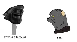 ew_your_a_furry_xd.webp