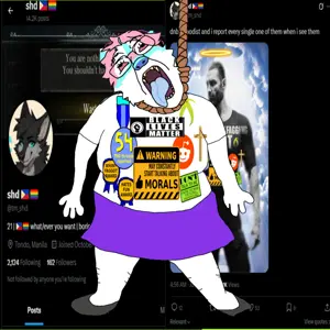 antidnbBROS....webp