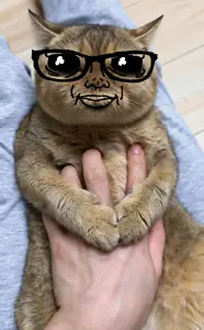 catman.png
