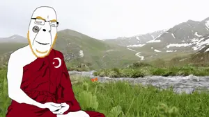 turkish meditation.gif