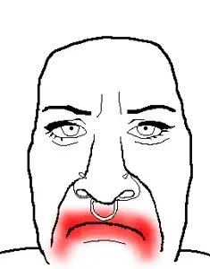 unknown, 1soyjak, bald, forced frown, front view, frown, lips, looking at you, no beard, no glasses