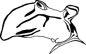 noselet.png