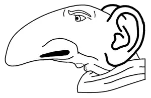 schnoz 2.png