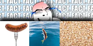 WBO_F.png