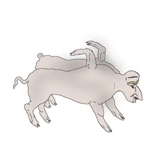 Untitled68_20260709161014.png