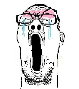 NOOOOO.png