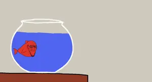 IMG_2873.gif