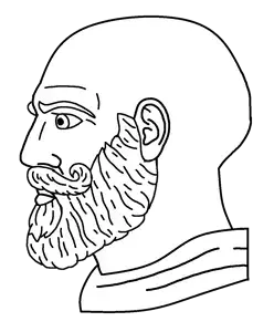 yes chad beard.png
