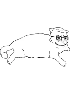 Cat soyak cute but angry.PNG