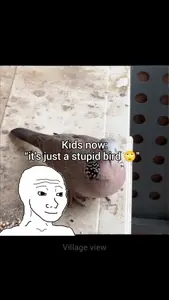 download.mp4