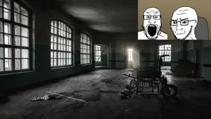 reaction.mp4