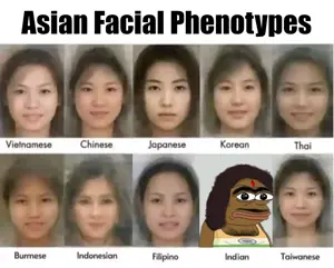 phenotypes.png