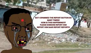 reportjeet.png