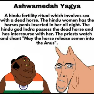 horse.jpg