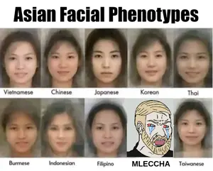 ASIAN FACIAL PHENYTYPES MLECCHA.png