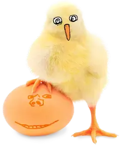 babychick.png