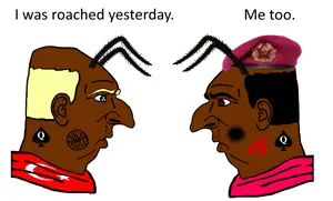 two_roachlets.png