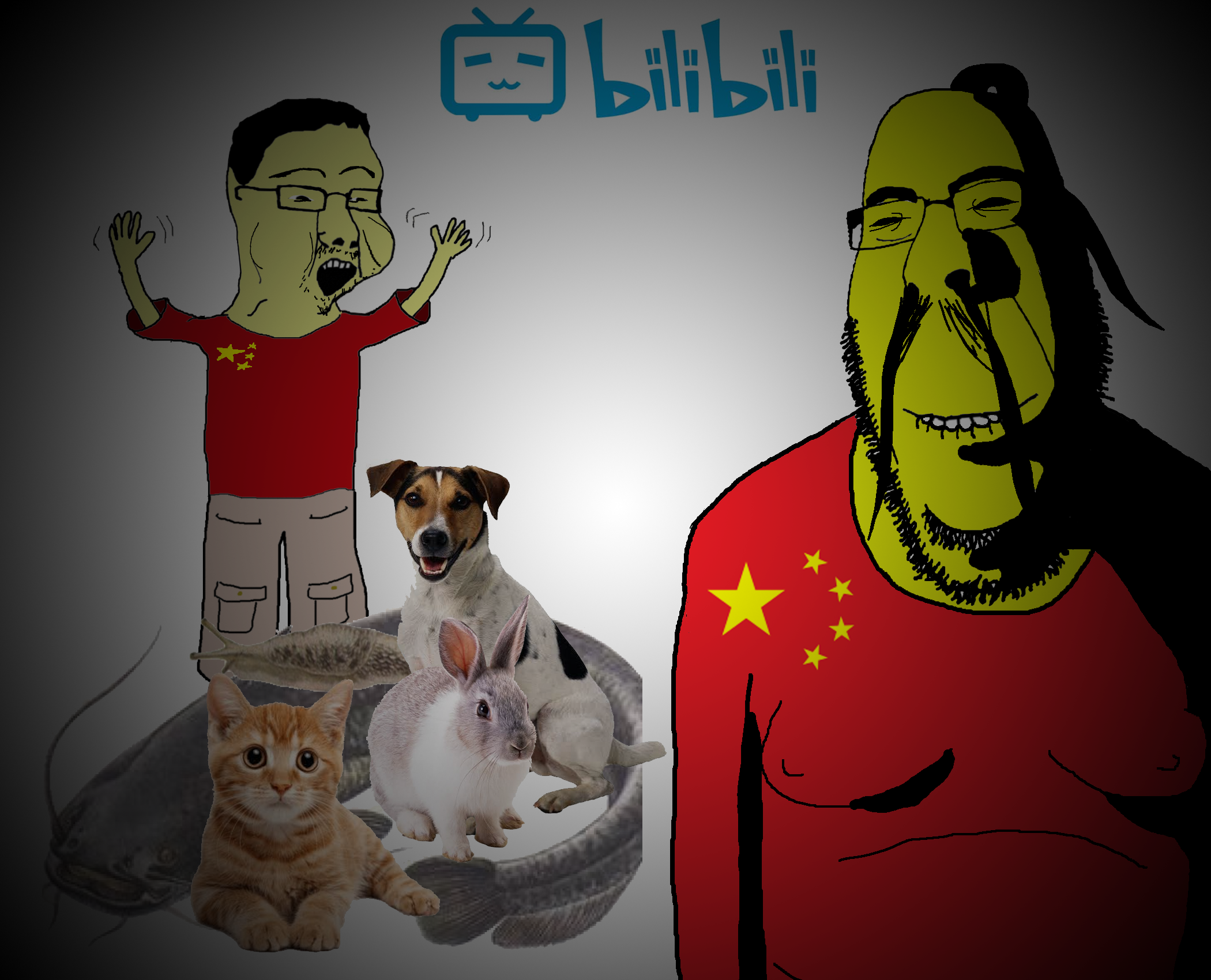 Graphic content involving animals can be found on Bilibili—primarily videos showing animal abuse: the beating, torture, burning, drowning, and strangulation of cats, dogs, rabbits, and other small…