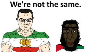 1A1A2a2211a111q11111112A23-pigg.png