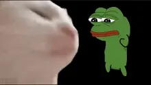 vibe-cat-pepe.gif