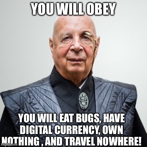 klaus schwab, bald, closed mouth, front view, half body, irl background, looking at you, monacle, no beard, no glasses
