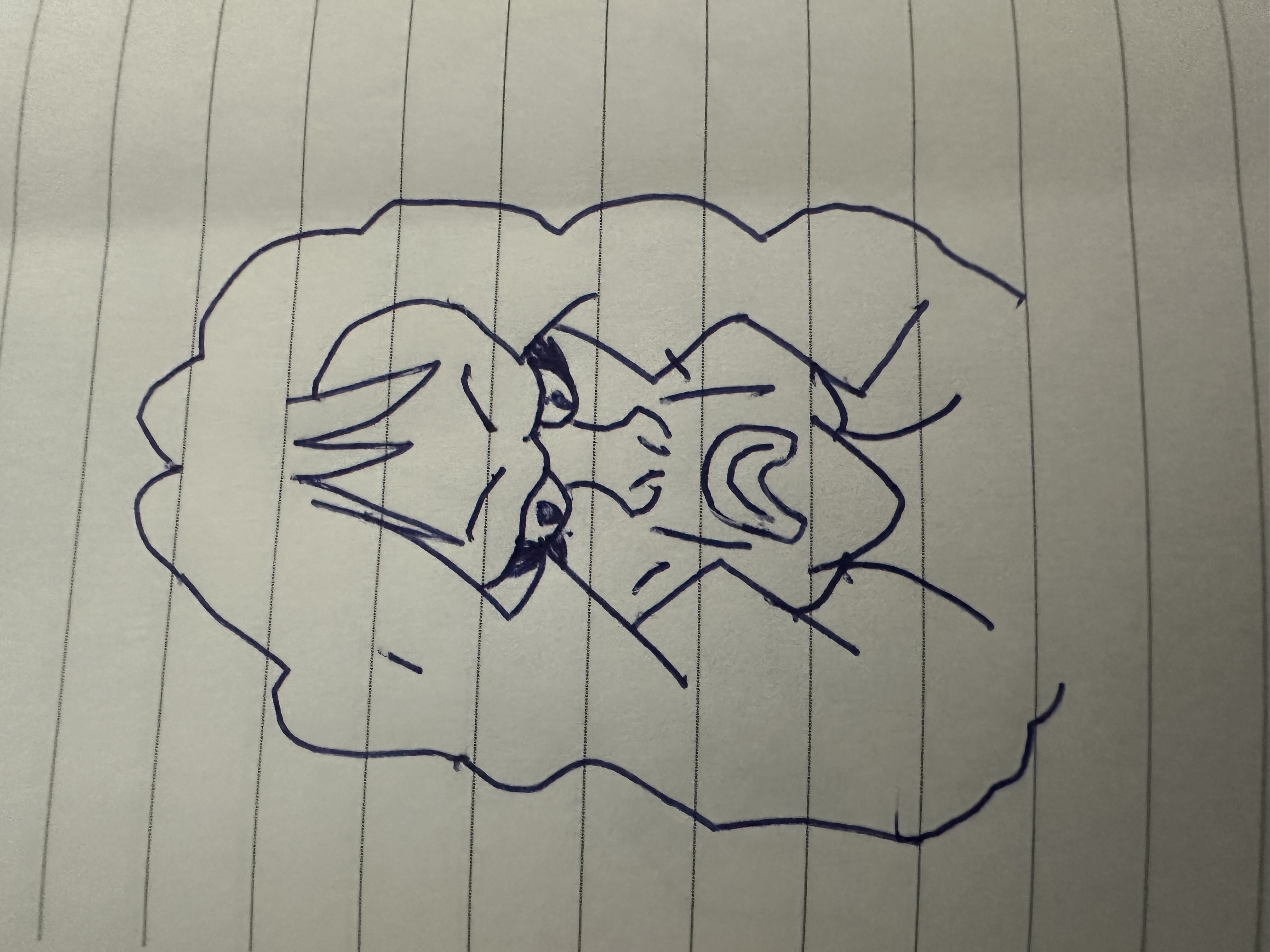 disgusting trevorcreature, disgusting foidcreature, 1soyjak, angry, black eyes, closed mouth, drawing, drawn, eyeliner, female