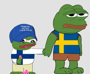 gf4iw1gd6p2b1.png