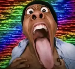bip3s7d6vf1h1.jpeg