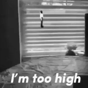 toohigh-ezgif.com-optimize.gif