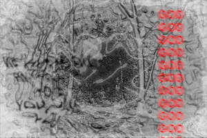 memetic kill 2.png