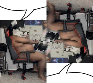 242343 - soybooru.com - brap disgusting fat fat_fuck fat_nigger_furry furry looking_to_the_right nigger sitting_at_computer speech_bubble speech_bubble_empty trvke typing.png