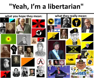 Yeah, I’m a libertarian.png