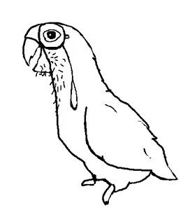 bubuson.png