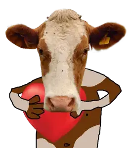 cow heart.png