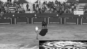 lv_0_20260717130250.mp4
