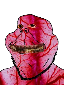 henry.png
