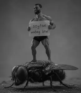 Soytan wabag btw.png