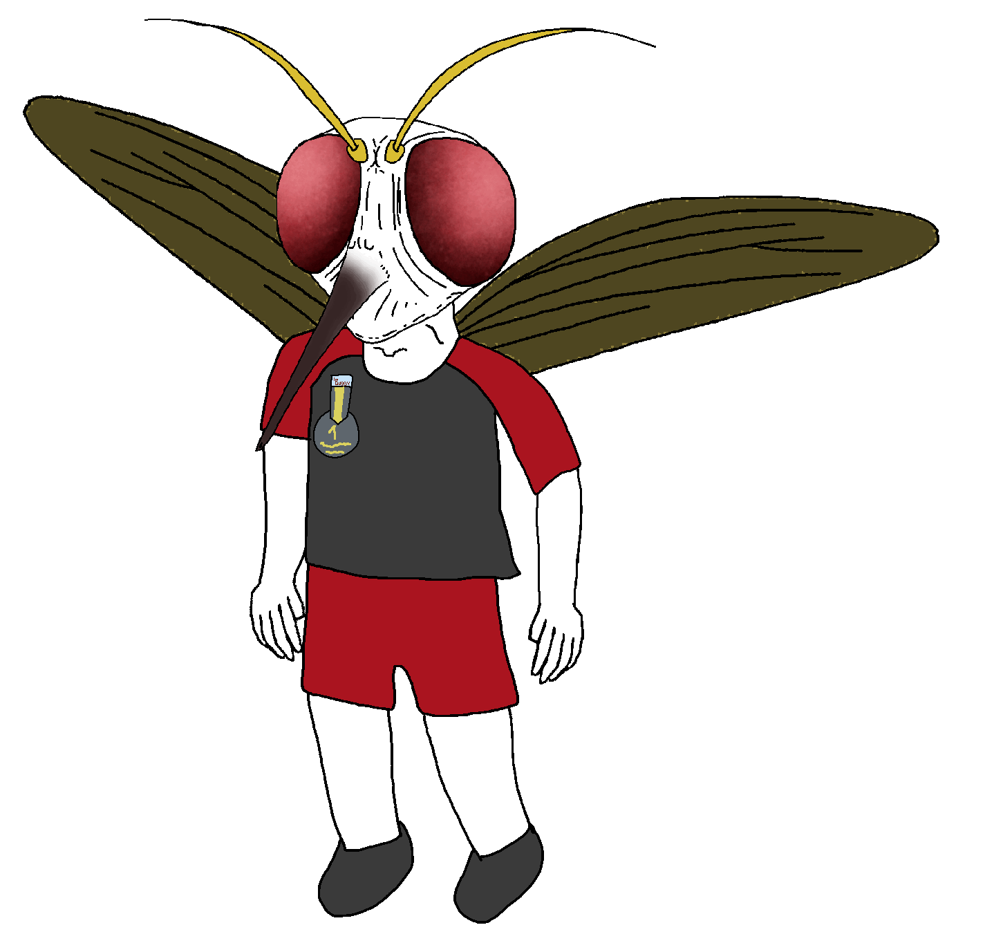 Mosquito Nate flying.